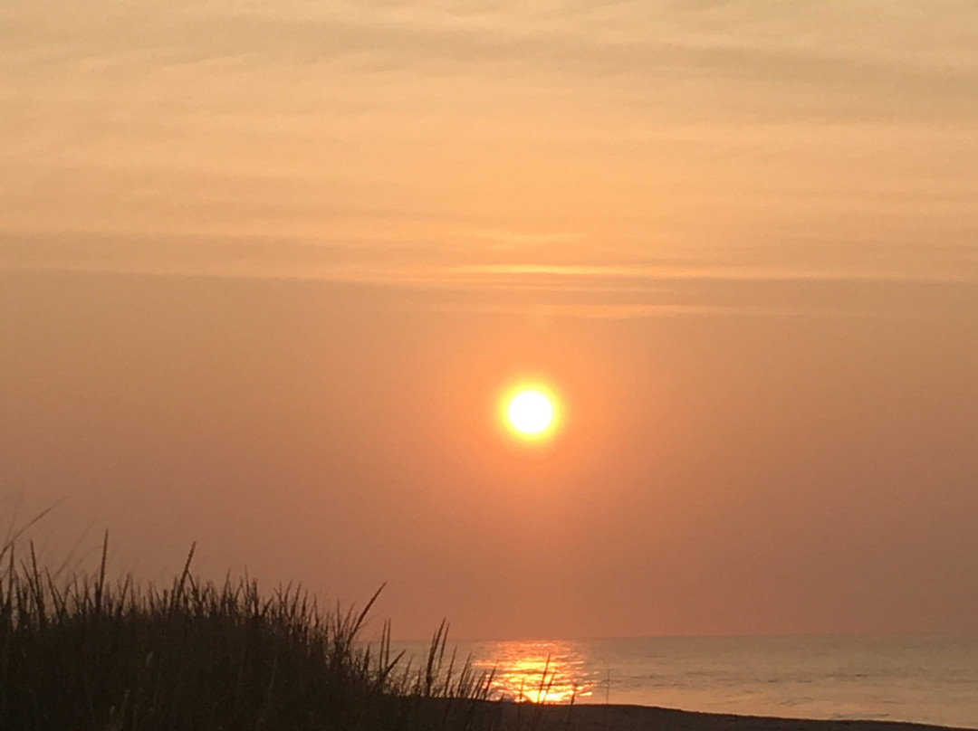 Ocean Vista Resort主图