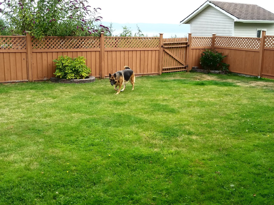 Ocean Comfort Bed and Breakfast主图