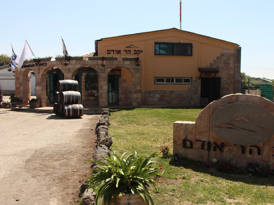 Har Odem Winery景点图片