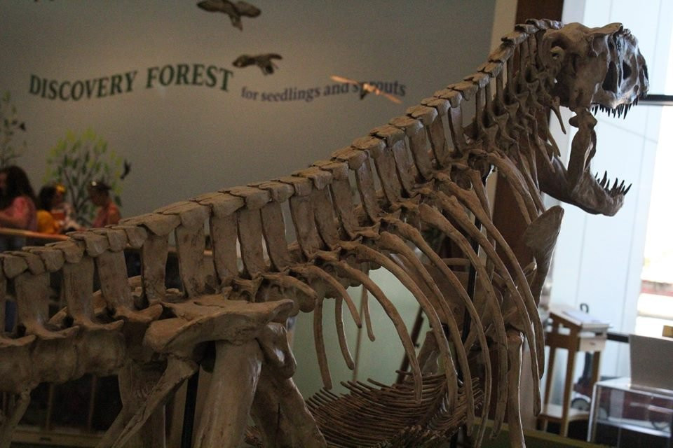 North Carolina Museum of Natural Sciences at Whiteville景点图片