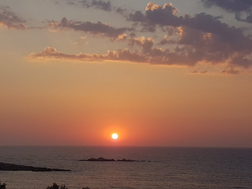 Bella Vista Studios主图