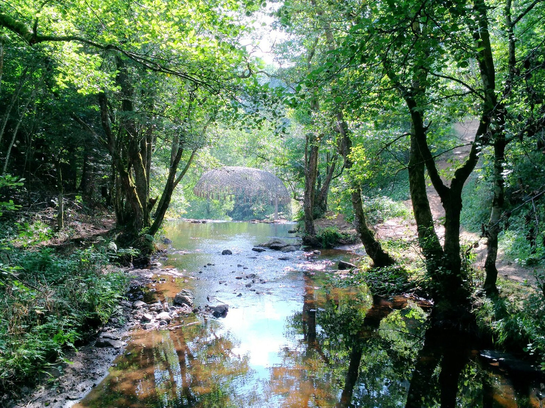 Saint-Alyre-es-Montagne旅游攻略图片