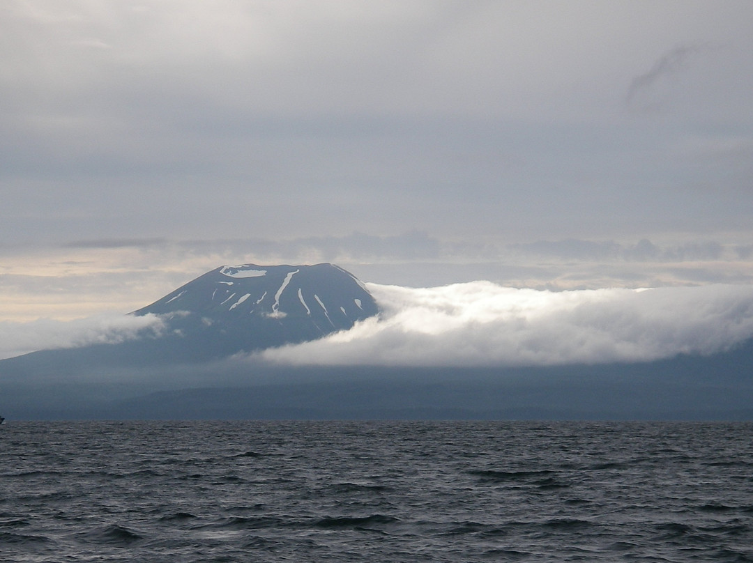 Sitka Sound Tours景点图片