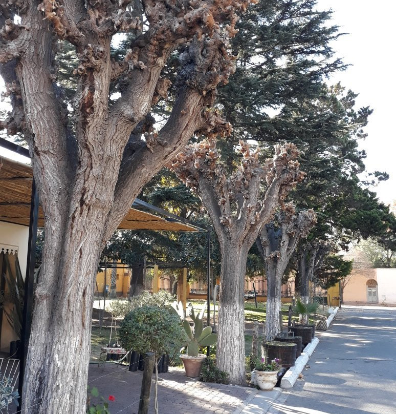 Bodegas Baudron-Maipu必去景点