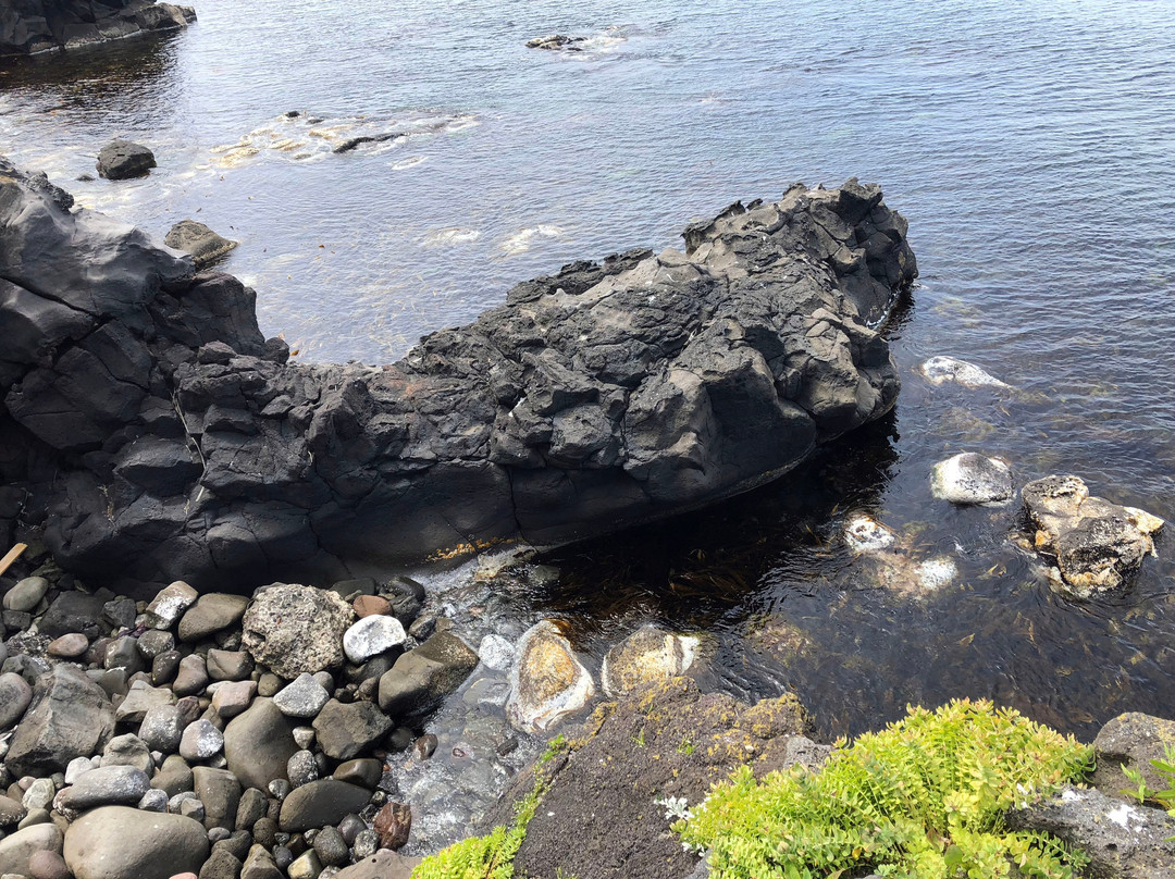 Neguma no Iwa-利尻町必去景点