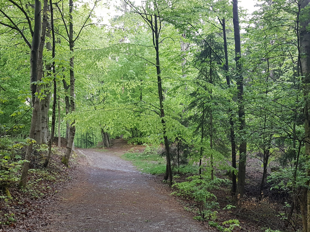 Neustadt in Sachsen旅游攻略图片