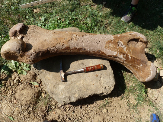 Akron Fossils & Science Center-Copley必去景点