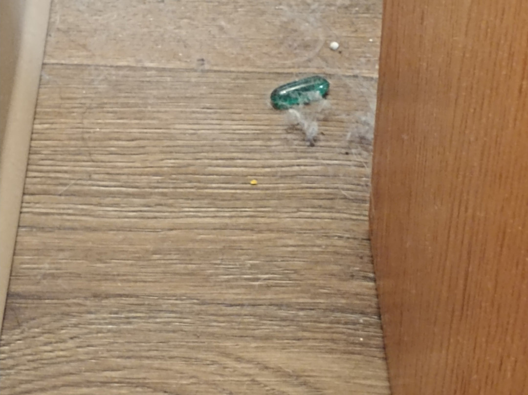 亨利叉子旅馆主图