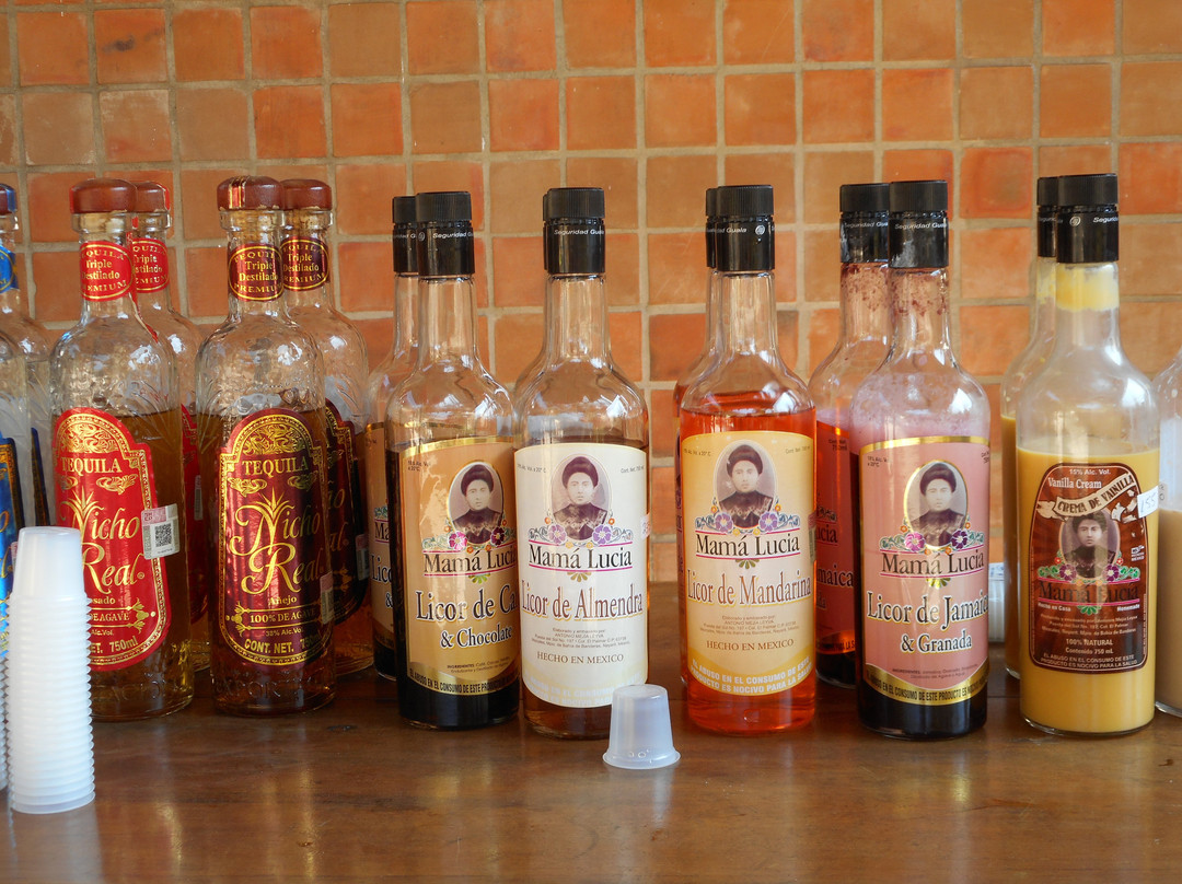 Tequila Mama Lucia-Mismaloya必去景点