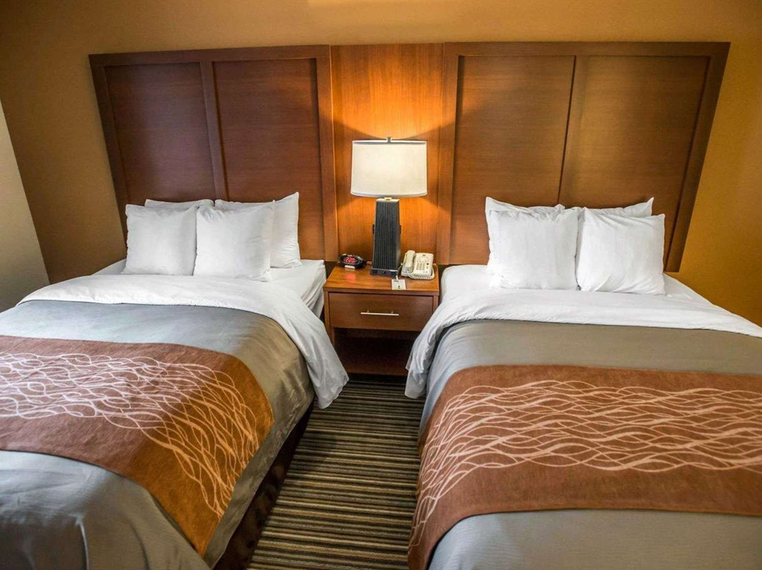 公园康福特茵就主图