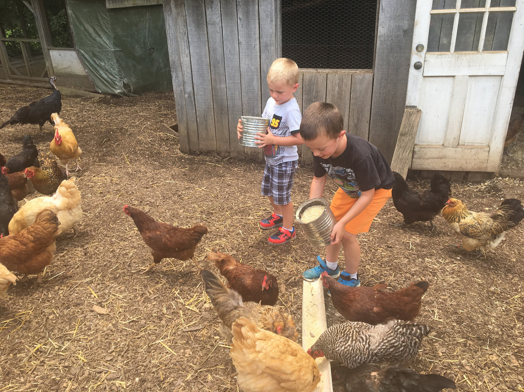 Open Gate Farm-Earlysville必去景点