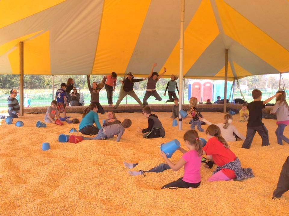 Gieringer's Family Orchard & Berry Farm-Edgerton必去景点