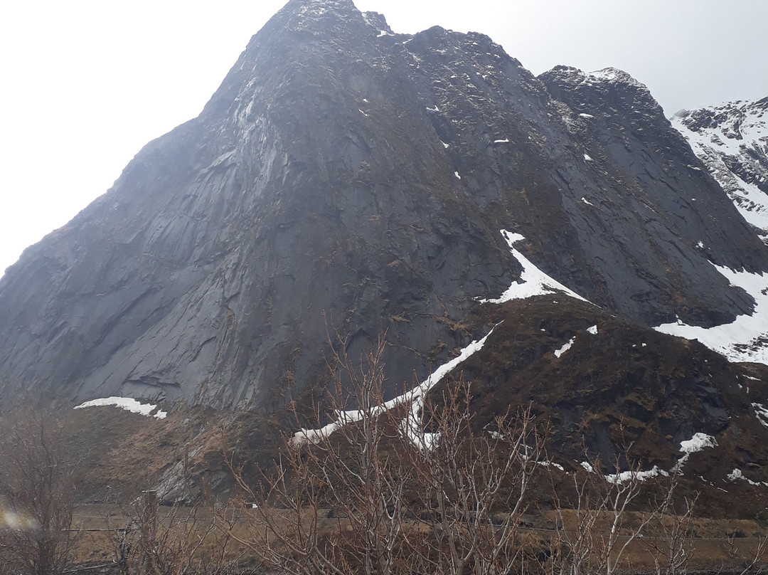 Lofoten Bed & Breakfast Reine主图