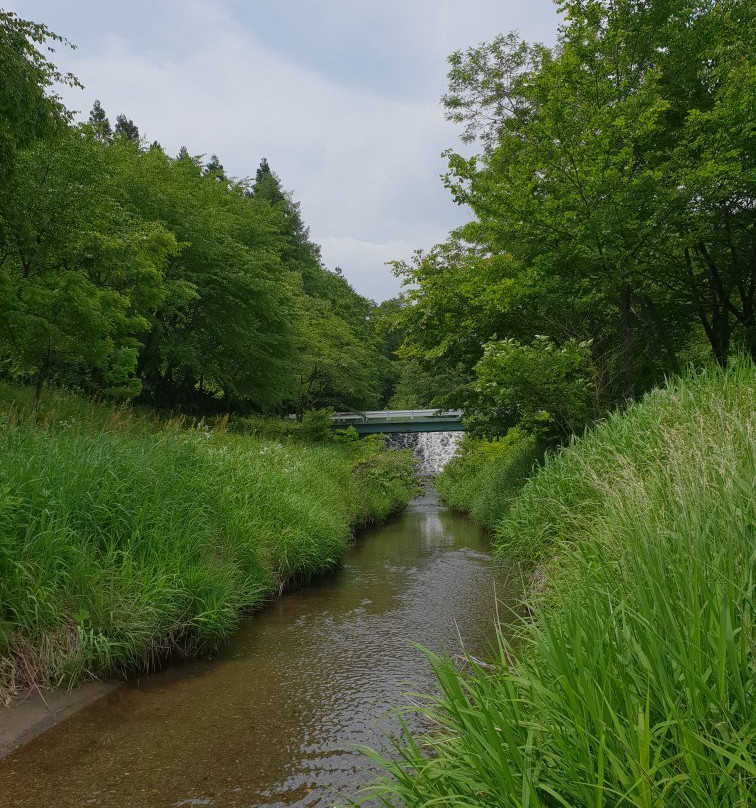 Hakuba Ohashi Bridge景点图片