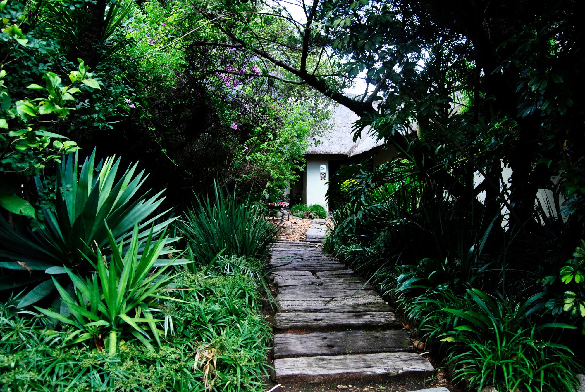 Birch Tree B&B-官方