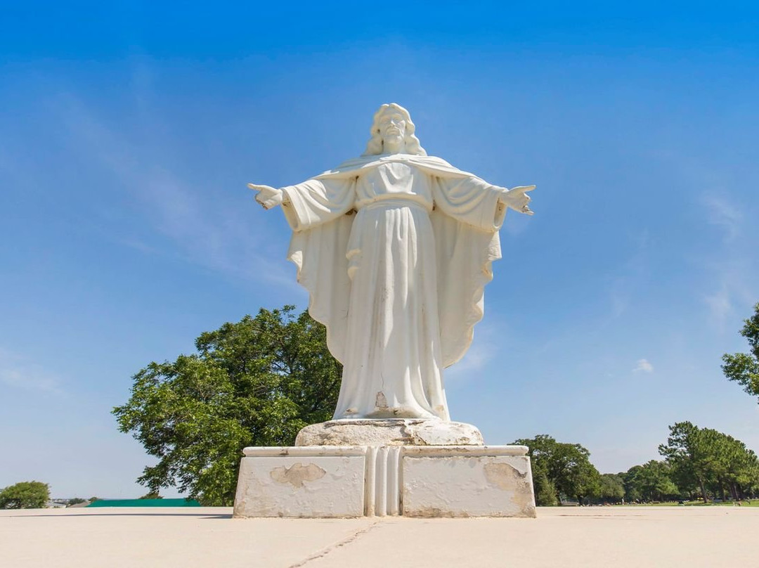 Moore Memorial Gardens-阿灵顿必去景点