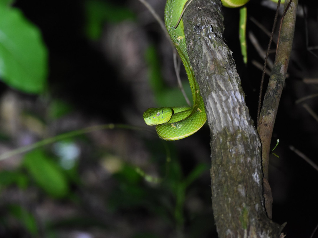 Aguti Monteverde - Wildlife Reserve景点图片