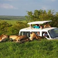 Selek Tours & Safaris-石头城必去景点