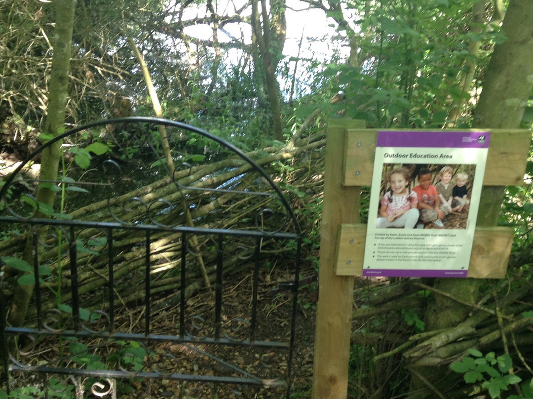 Loddon Nature Reserve-Twyford必去景点