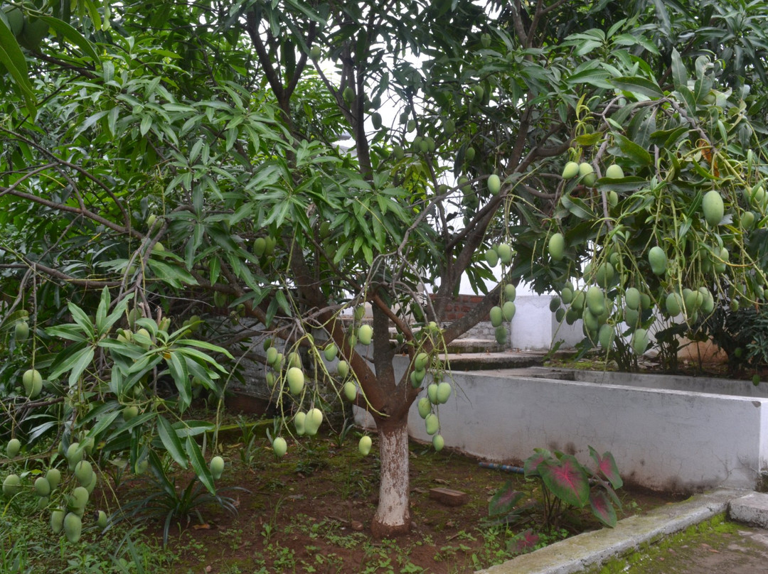 Deers Eco Home主图