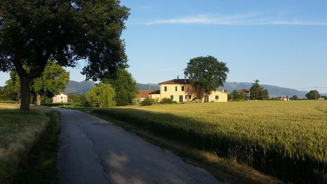 玫瑰住宿加早餐旅馆主图