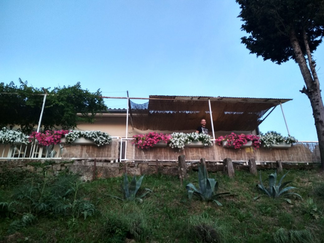 Casa Mia主图