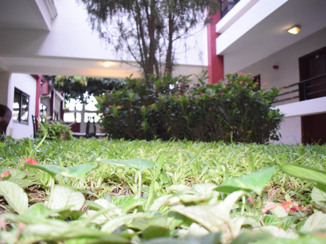 Djibson Hotels主图