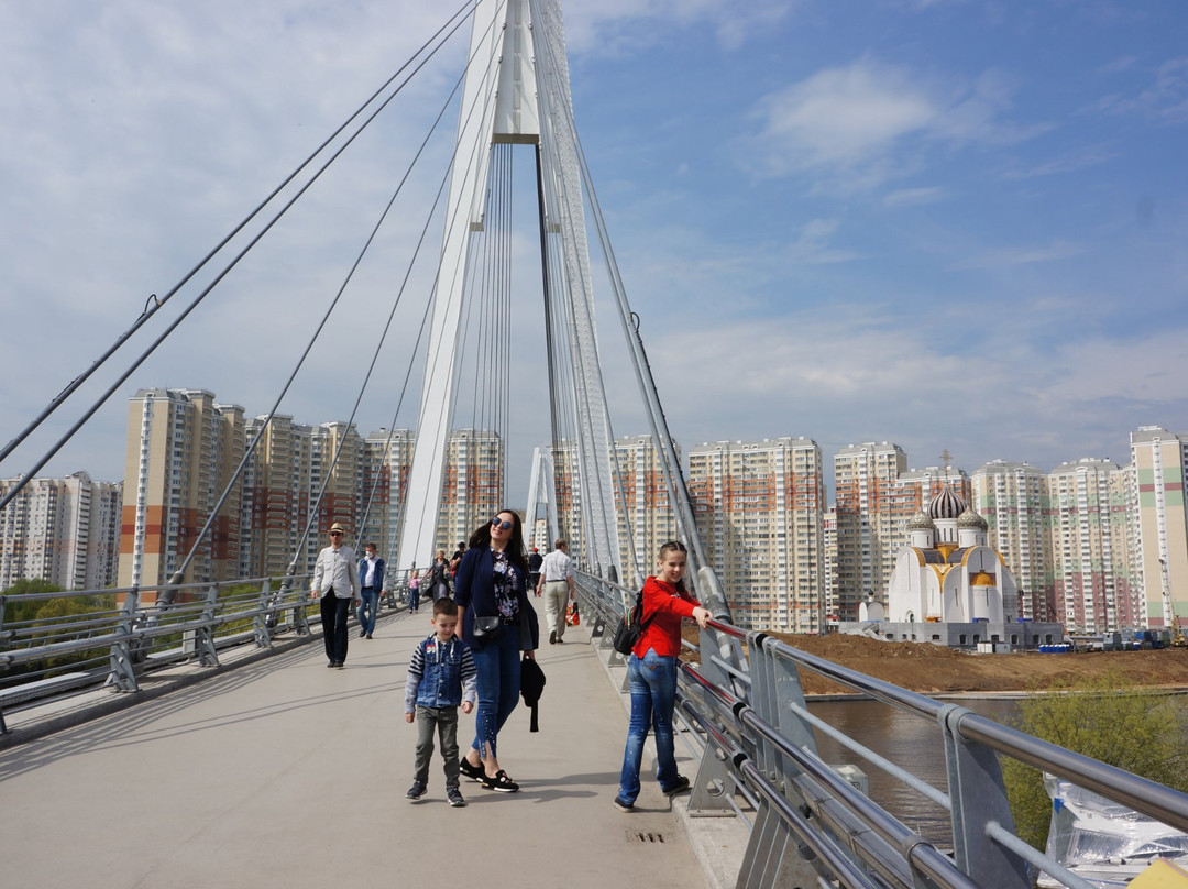 Pedestrian Bridge Pavshinskaya Poima景点图片