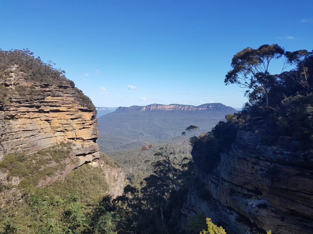 Australian Connection Travel Company (ACTC)景点图片