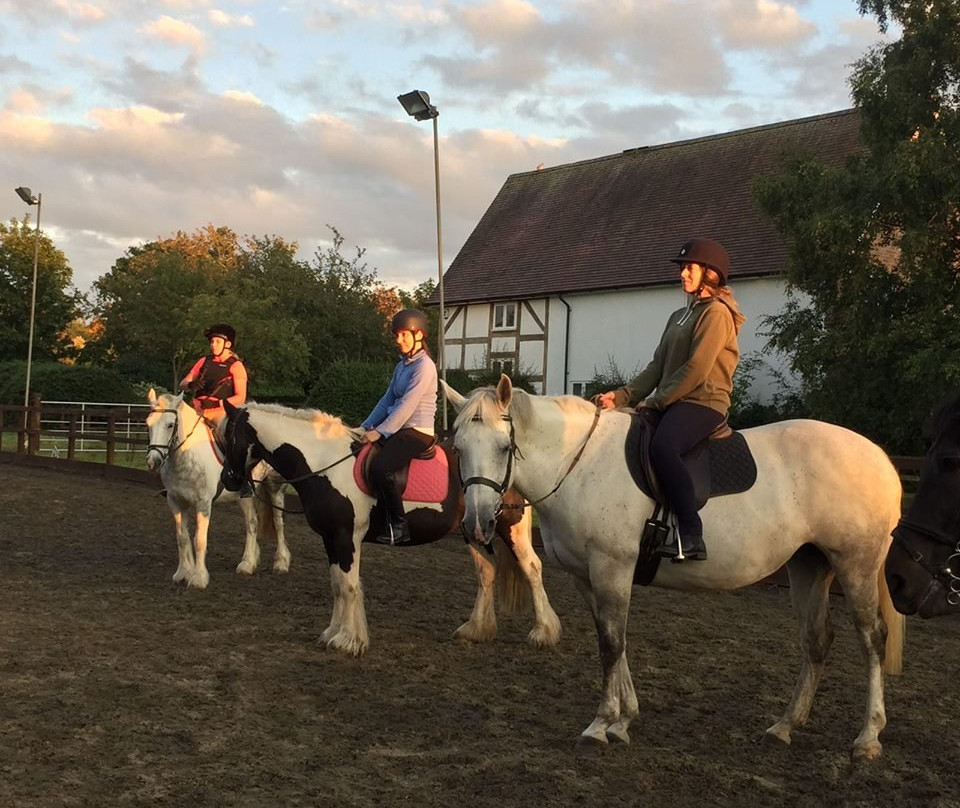 Ride High Equestrian Centre景点图片