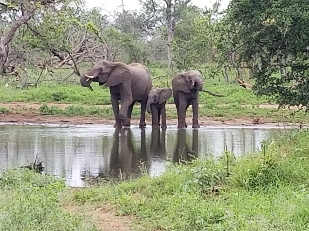 Maseke Mountain Biking-霍德斯普鲁特必去景点