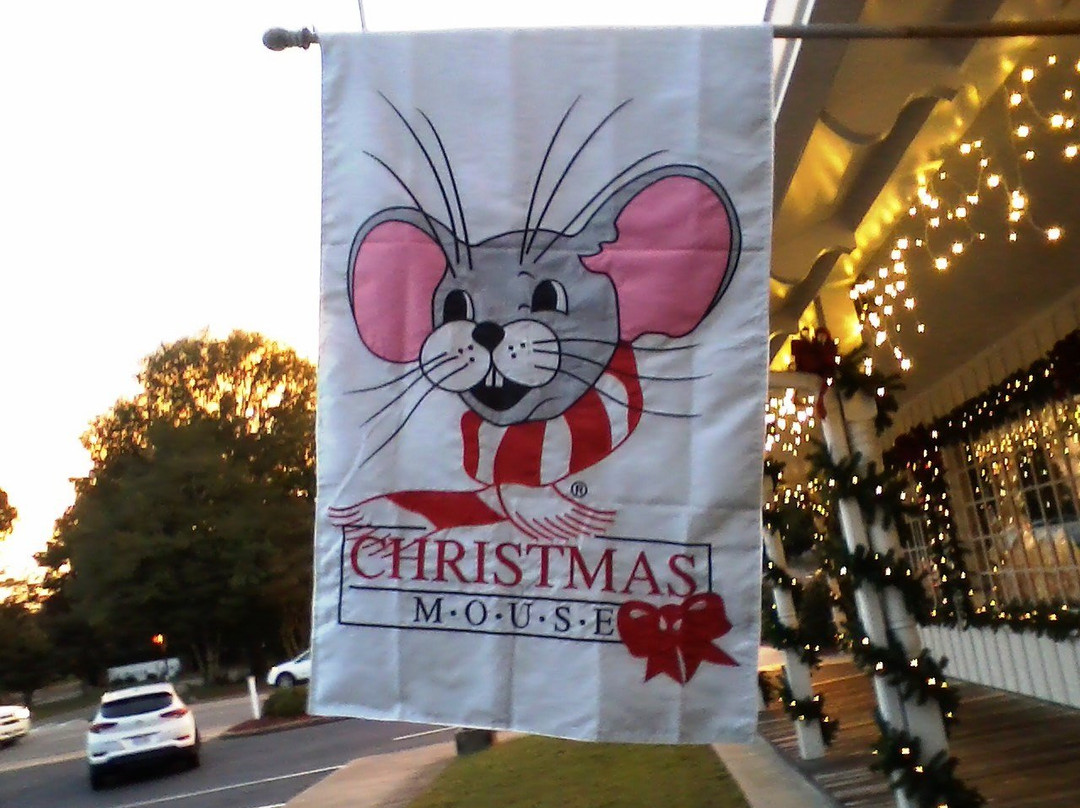 Christmas Mouse景点图片