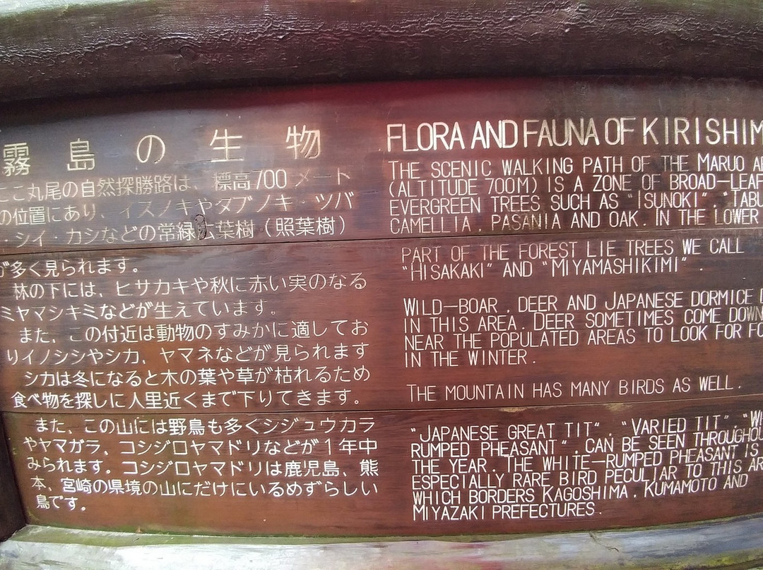 Maruo Nature Sightseeing Path-雾岛市必去景点