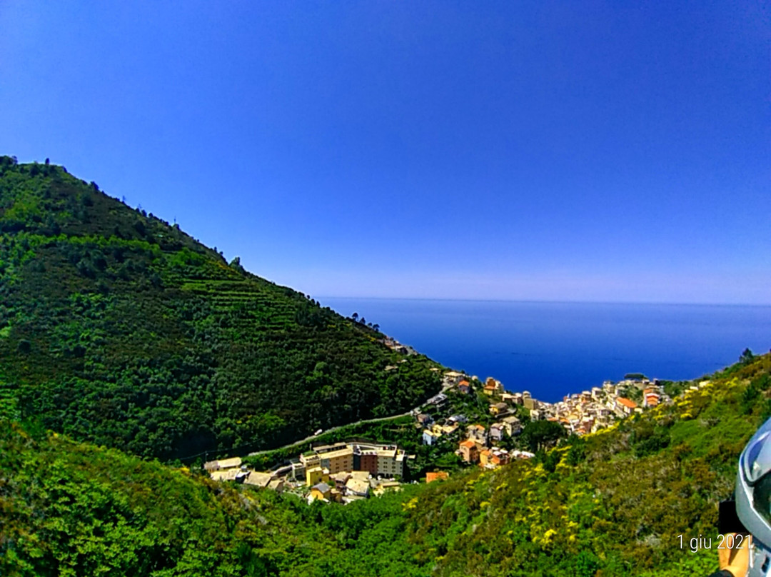 Gli Ulivi