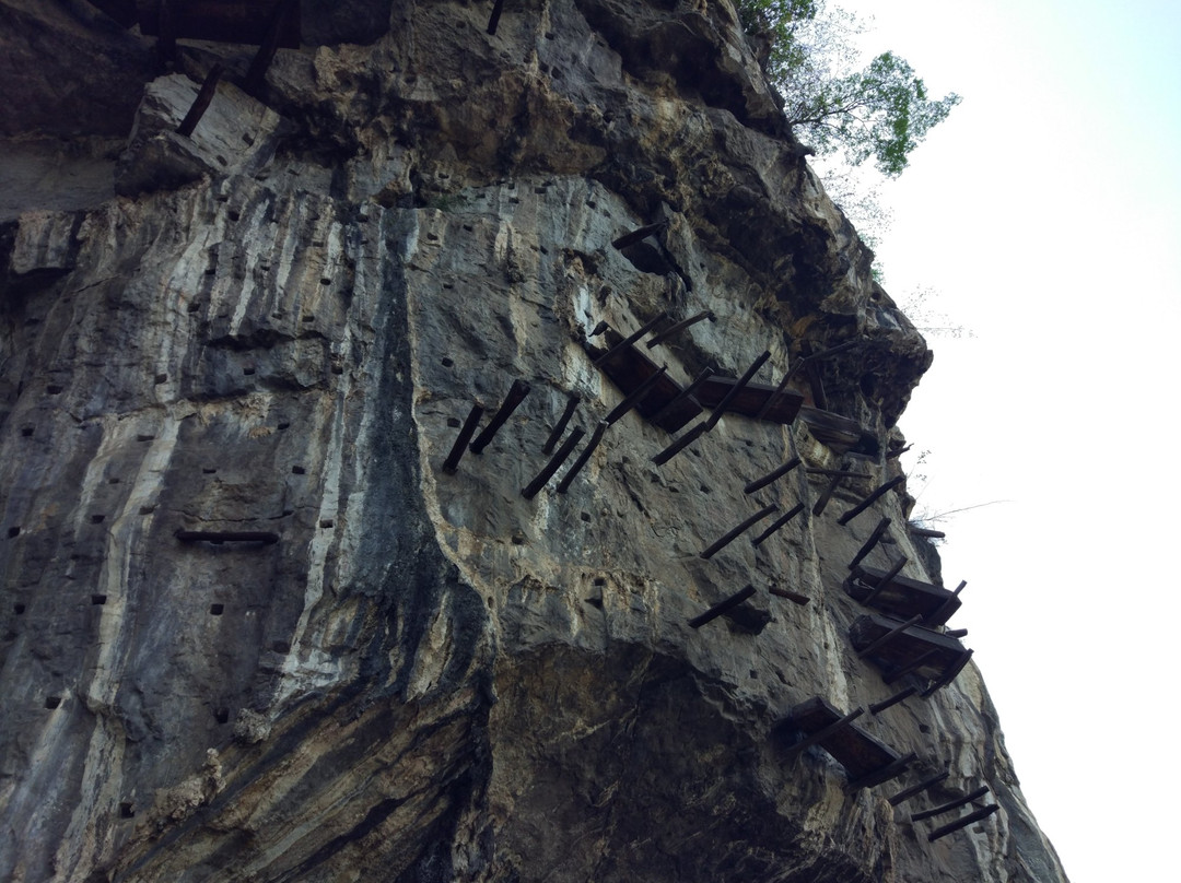 古僰悬棺陈列馆景点图片