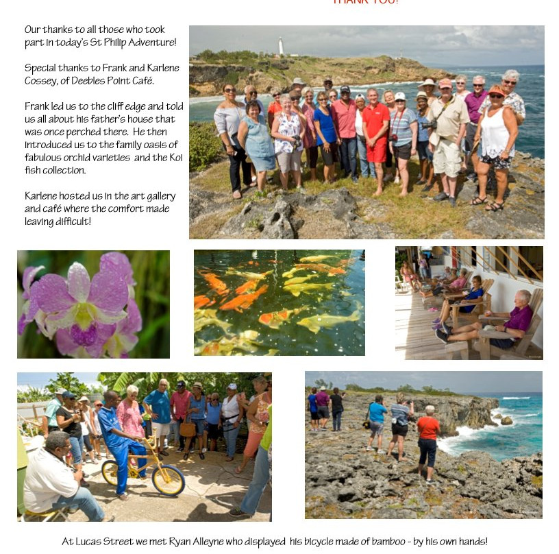 Deebles Point Art Gallery And Café-Saint Philip Parish必去景点