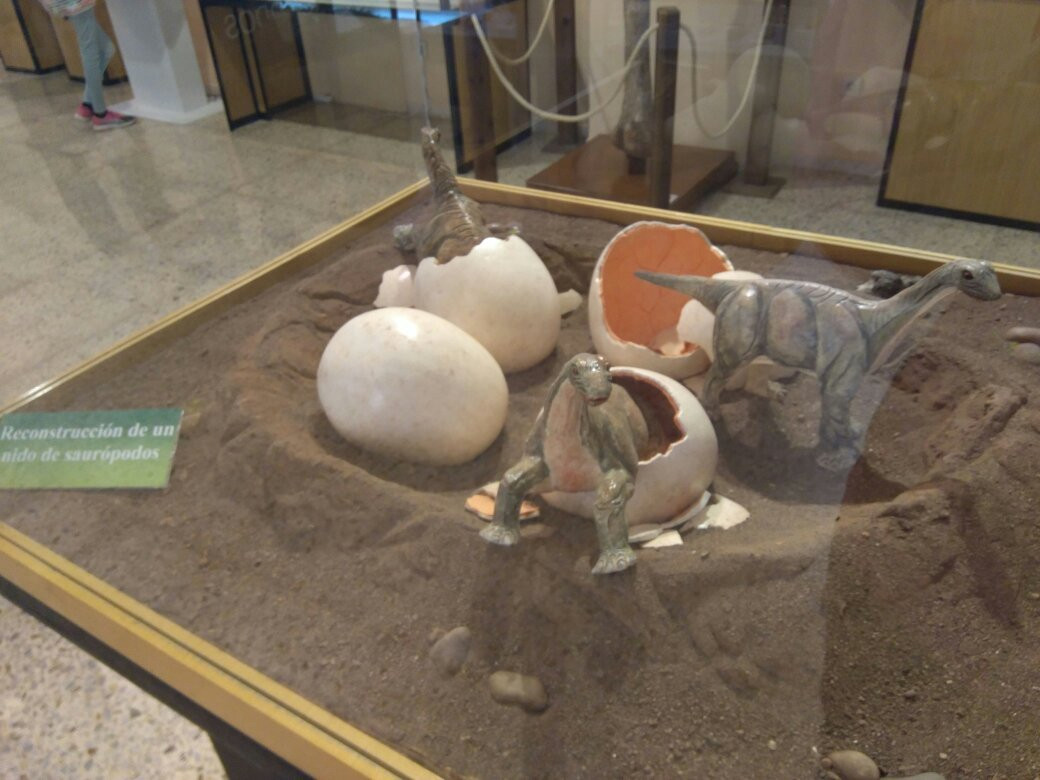 Museo de los Dinosaurios-Salas de los Infantes必去景点