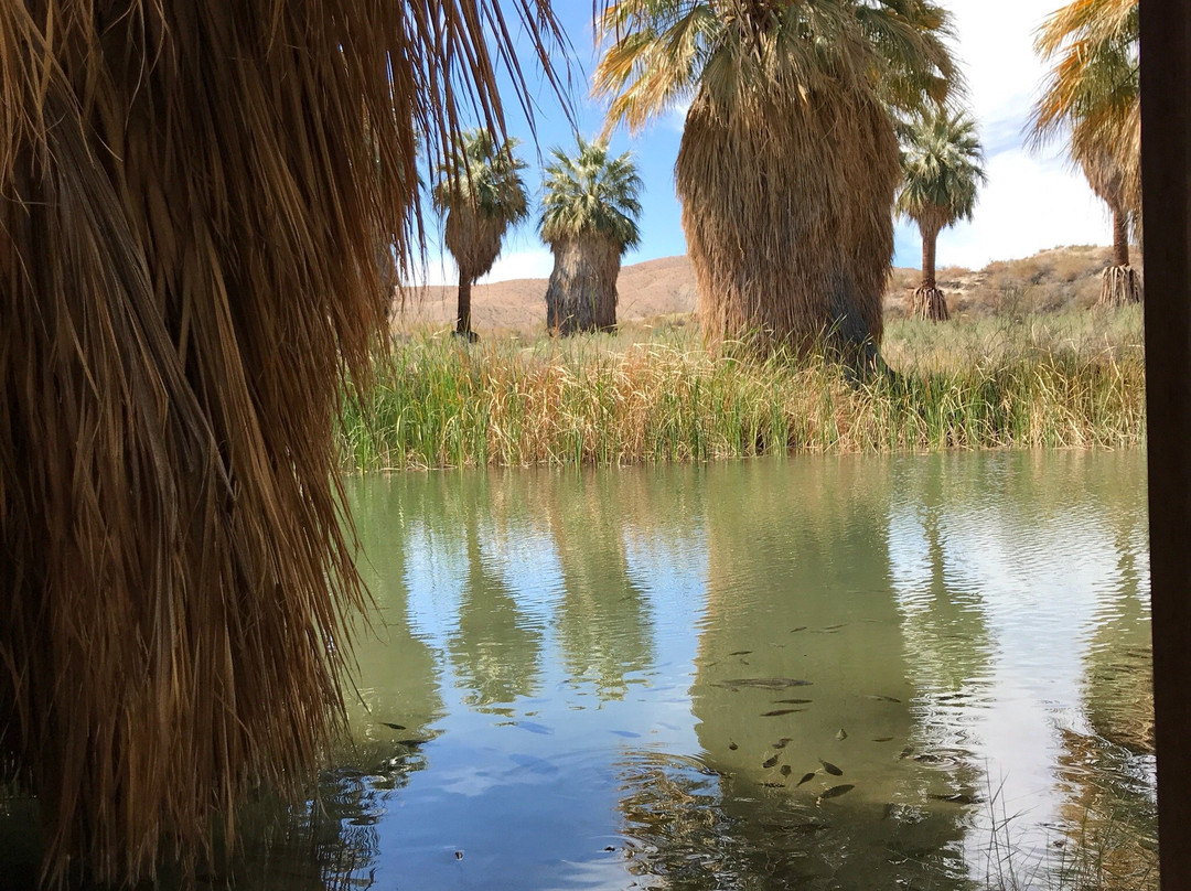 San Andreas Fault-棕榈沙漠必去景点