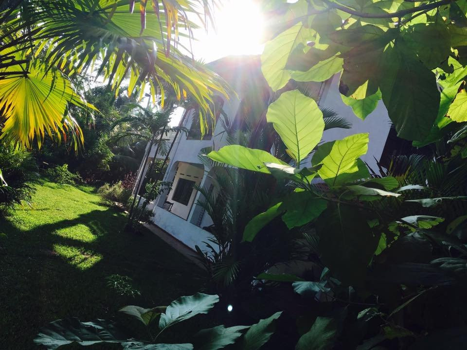 Sunny's Garden Hotel主图