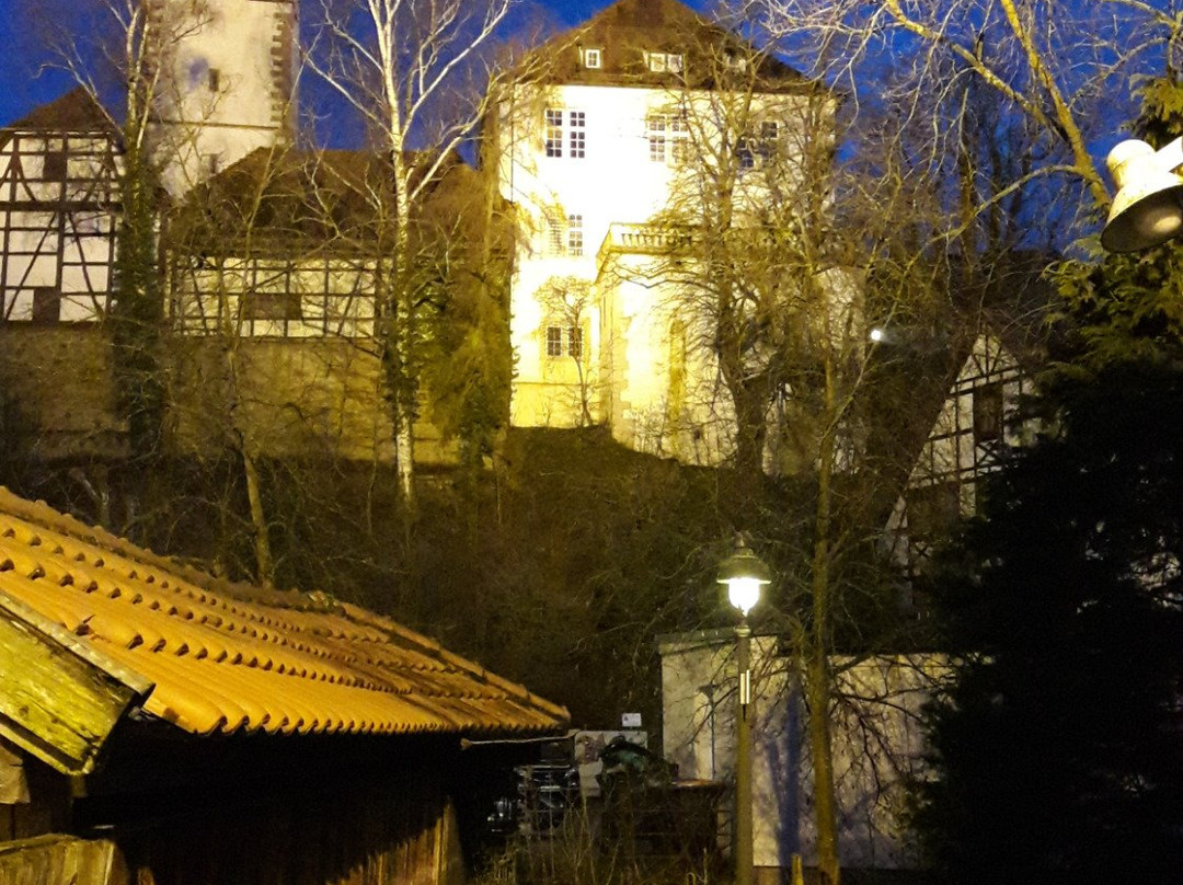 Traube