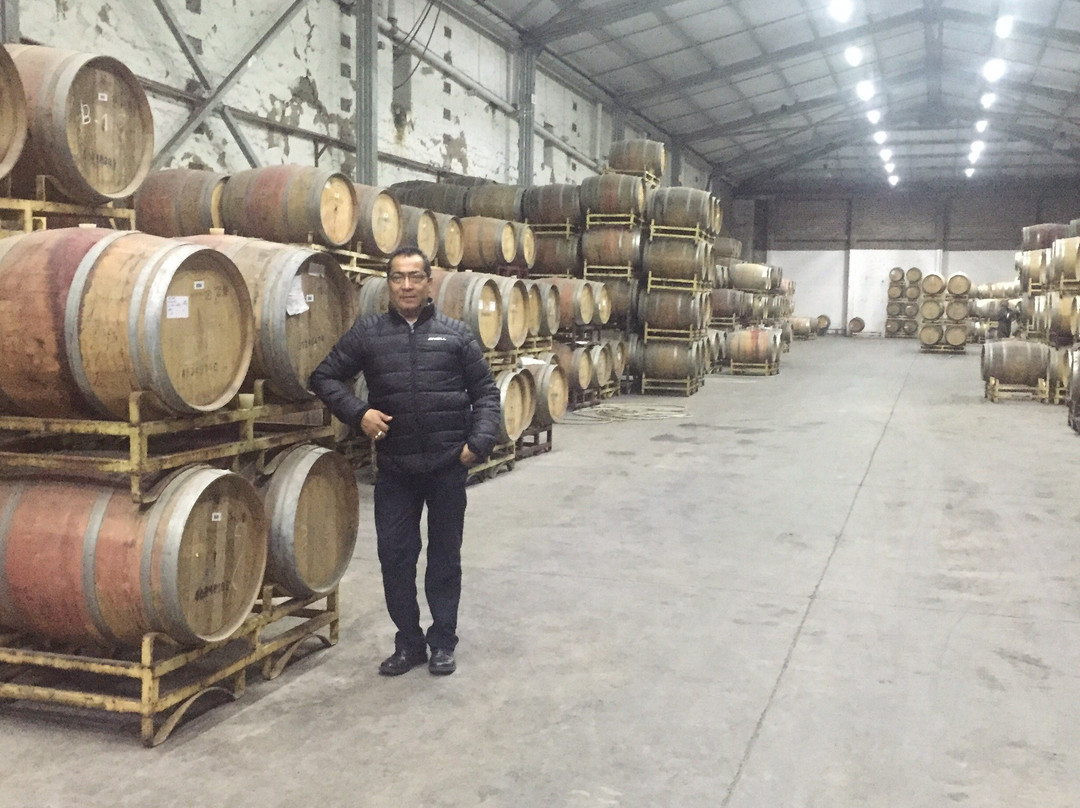 Colchagua Valley-O'Higgins Region必去景点