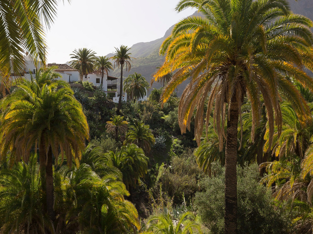 Pentaprisma Photography Workshops-大加那利岛拉斯帕尔马斯必去景点