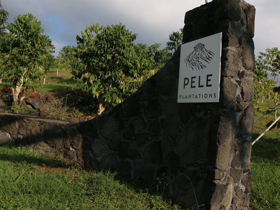 Pele Plantations-卡慕也拉必去景点