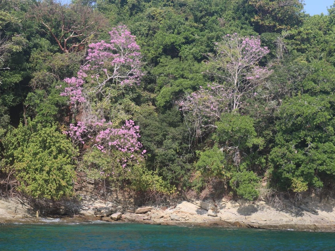 Contadora Island旅游攻略图片