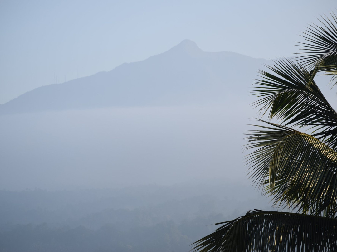 Serenity Hill Oasis主图