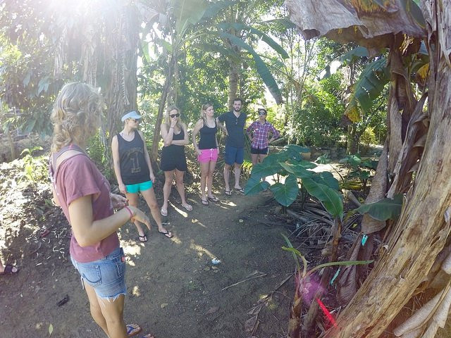 Taino Farm-Los Brazos必去景点