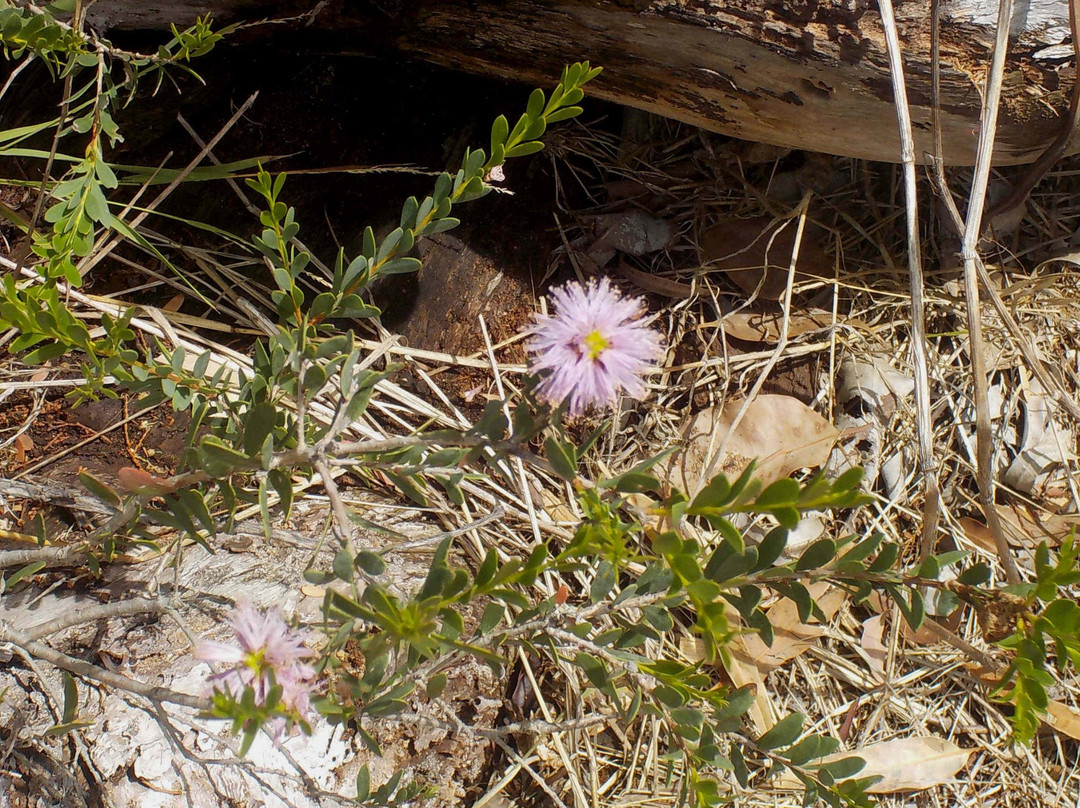Cheltenham Park-Cheltenham必去景点