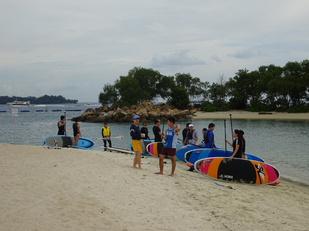 The Stand Up Paddling School景点图片