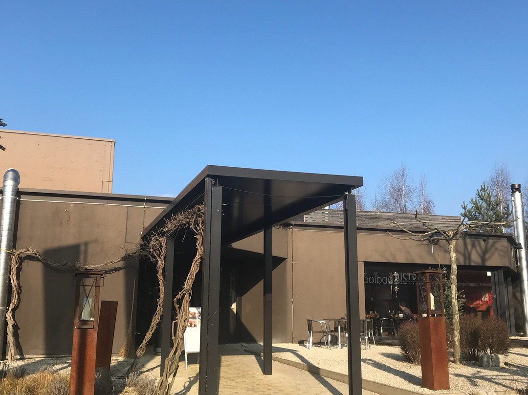Solbad & Spa Schönbühl景点图片