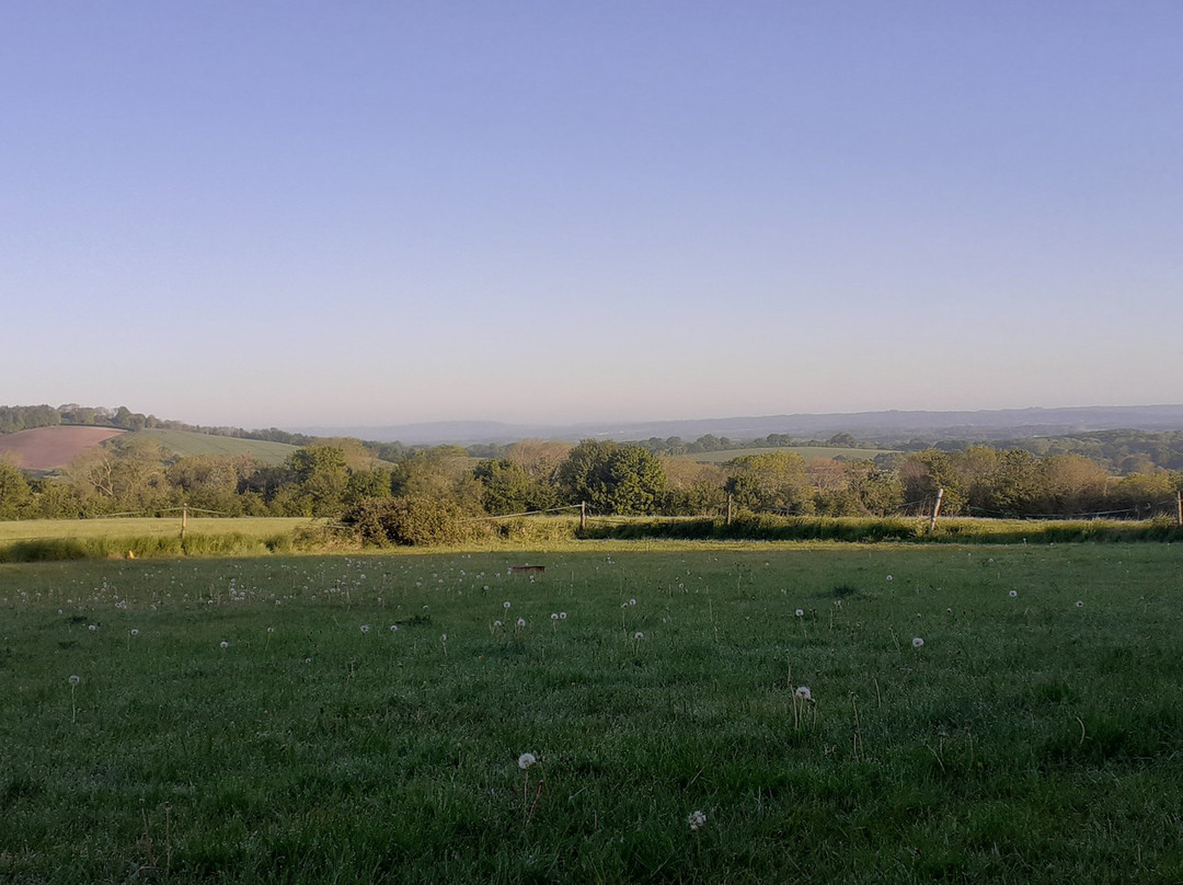 Manor Farm Campsite
